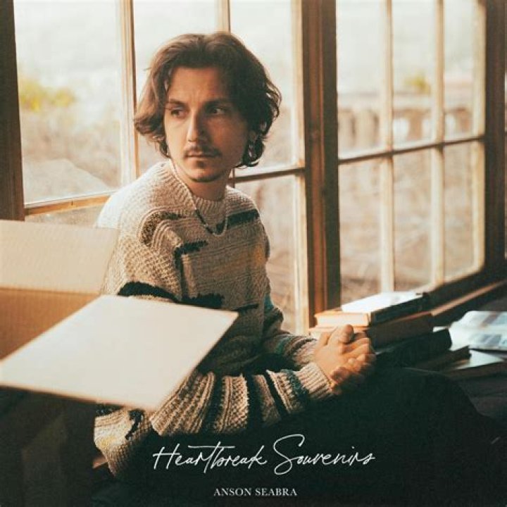 Anson Seabra - Bio, Age, Wiki, Facts and Family