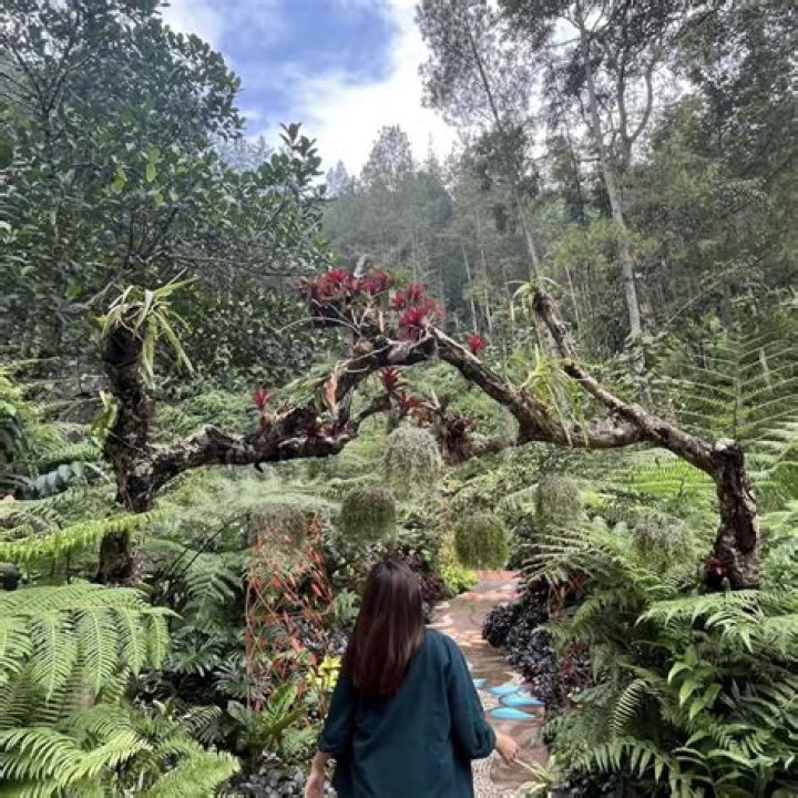 Aurelia Carisa (makeupartist) Wiki,Age,Birthday,Biography,Height,Net Worth ..