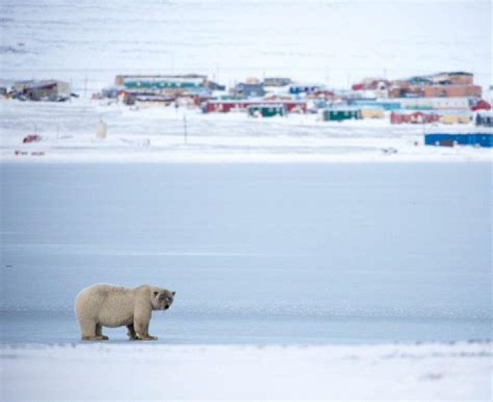 Davina Rankin - Bio, Age, Wiki, Facts and Family