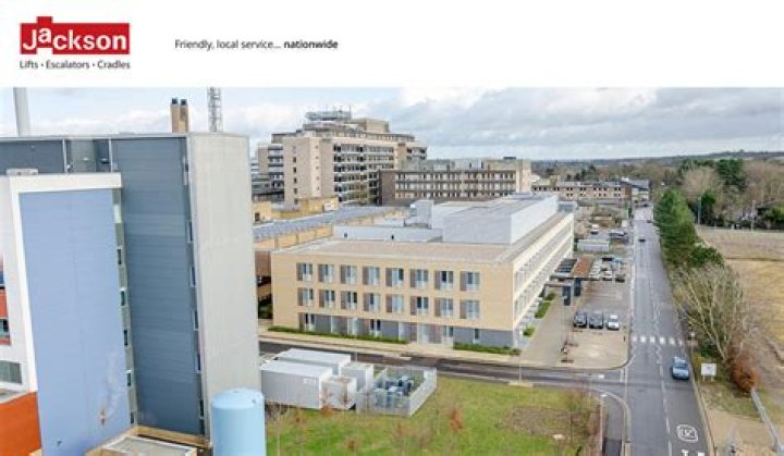 Jackson Strong - Bio, Age, Wiki, Facts and Family