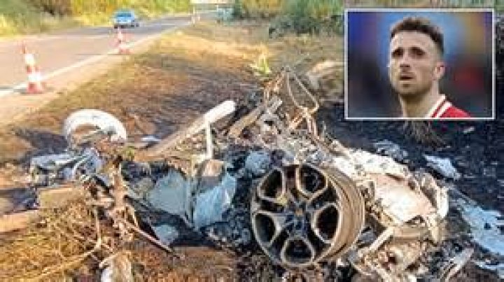 Joshua Riboldi (webvideostar) - Wikipedia, Age, Net Worth, Biography , Spotify, TikTok, Facebook, Facts and Family