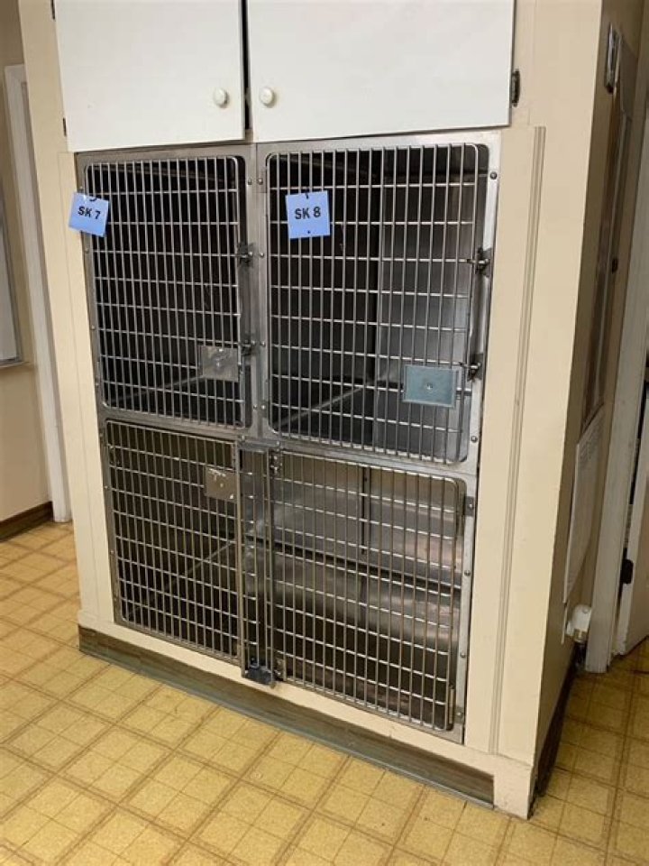 Ken Cage - Bio, Age, net worth, Wiki, Facts and Family