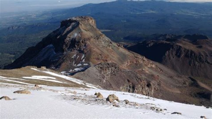 Luis Itarte - Bio, Age, Wiki, Facts and Family