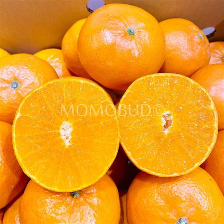 Mikan Mandarin - Bio, Age, Wiki, Facts and Family