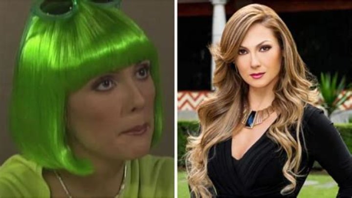 Nora Salinas - Bio, Age, Wiki, Facts and Family