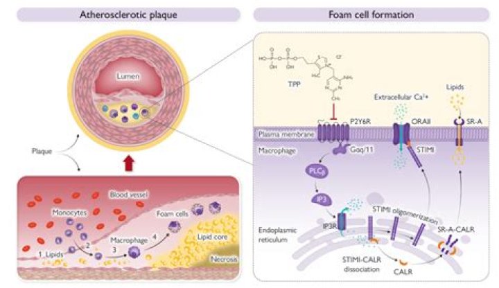 Nucleya - Bio, Age, Wiki, Facts and Family