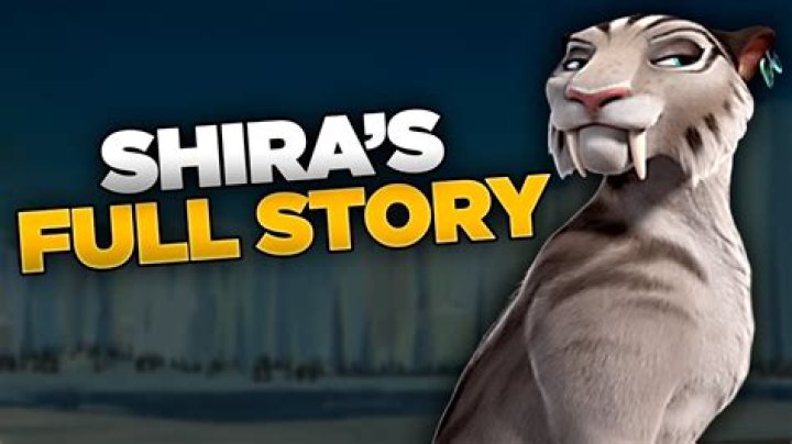 Who is Shira Braun ? Wikipedia,Age,Height,Weight,Real Name,Net Worth