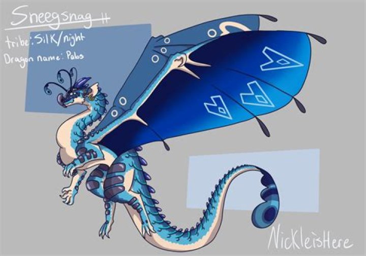 Sneegsnag (webvideostar) - Wikipedia, Age, Net Worth, Biography , Spotify, TikTok, Facebook, Facts and Family