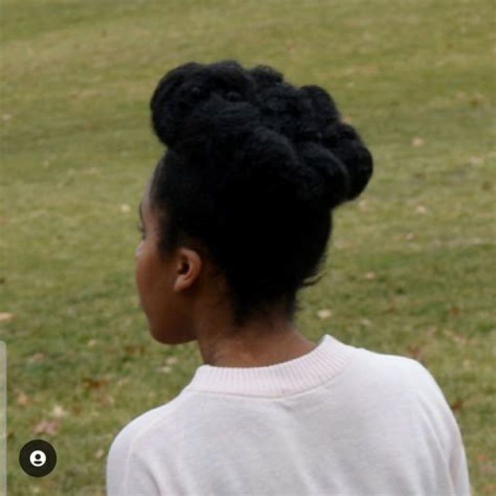 TheChicNatural (webvideostar) - Wikipedia, Age, Net Worth, Biography , Spotify, TikTok, Facebook, Facts and Family