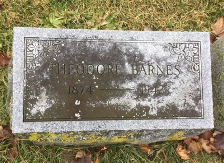 Theodore Barnes - Bio, Age, Wiki, Facts and Family